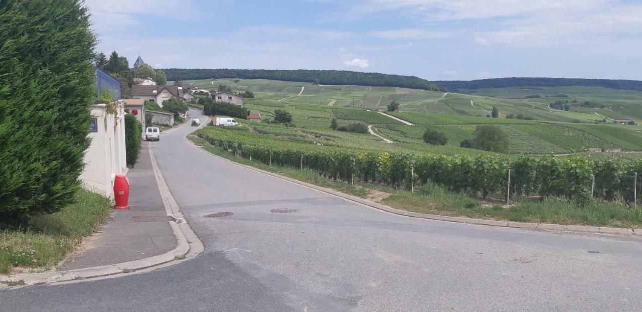 Flor'Ever en Champagne Fleury-la-Riviere Extérieur photo