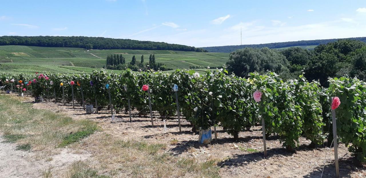 Flor'Ever en Champagne Fleury-la-Riviere Extérieur photo
